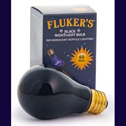 Flukers Black Nightlight Incandescent Bulb