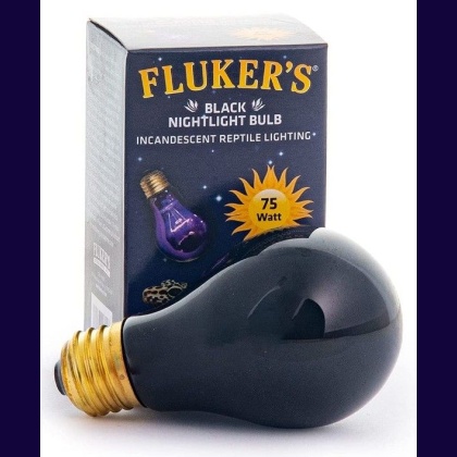 Flukers Black Nightlight Incandescent Bulb