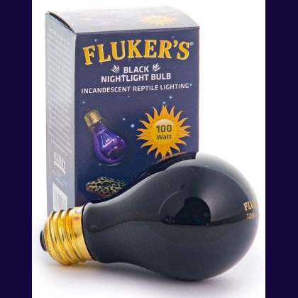 Flukers Black Nightlight Incandescent Bulb