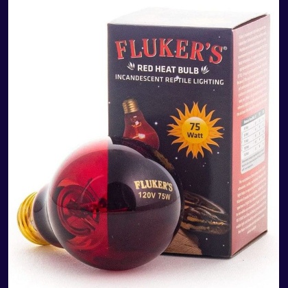 Flukers Red Heat Incandescent Bulb