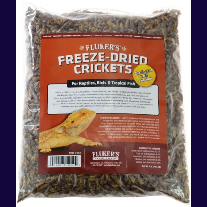 Flukers Freeze-Dried Crickets