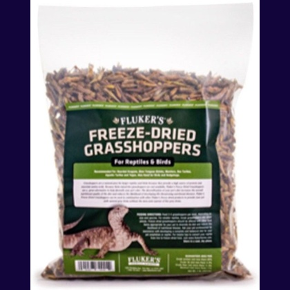 Flukers Freeze-Dried Grasshoppers