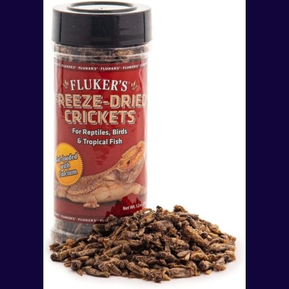 Flukers Freeze-Dried Crickets