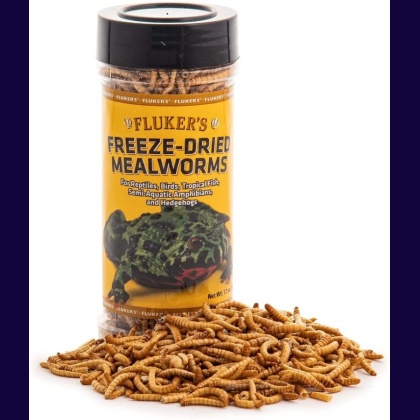 Flukers Freeze-Dried Mealworms