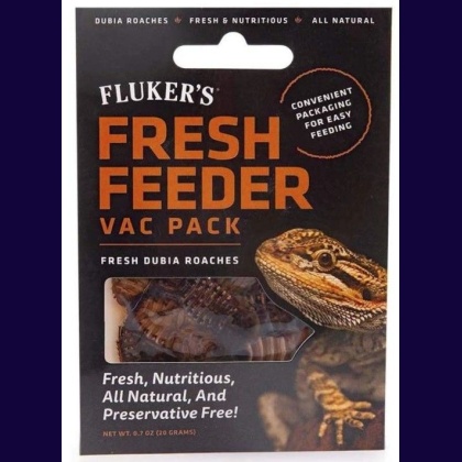 Flukers Dubia Roach Fresh Feeder Vac Pack