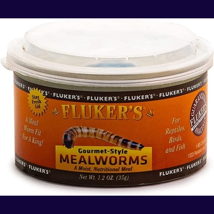 Flukers Gourmet Style Canned Mealworms