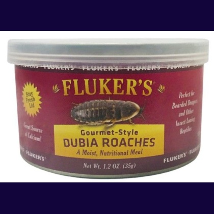 Flukers Gourmet Style Dubia Roaches