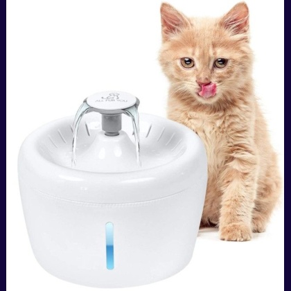 All Fur You Whisper Water Fountain