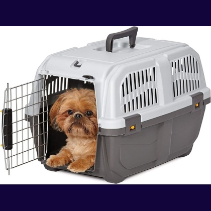 MidWest Skudo Travel Carrier Gray Plastic Dog Carrier