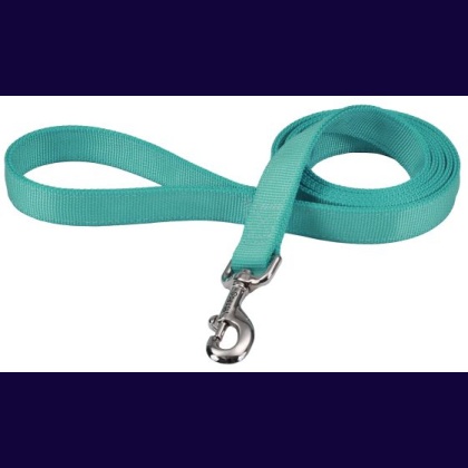 Coastal Pet Double-ply Nylon Dog Lead Teal