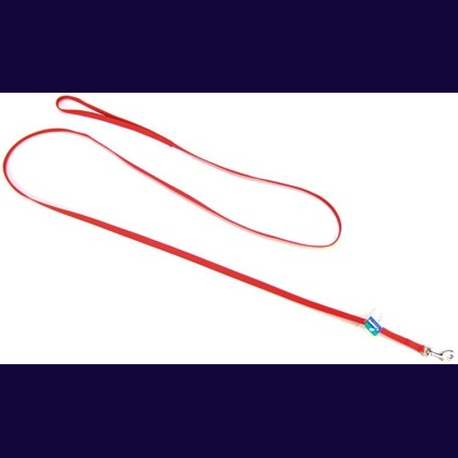 Coastal Pet Nylon Lead - Red