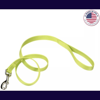 Coastal Pet Single-Ply Nylon Dog Leash Lime Green