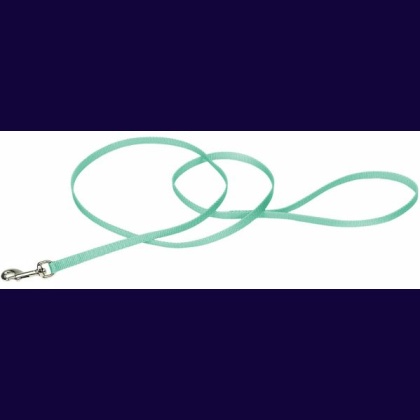 Coastal Pet Single-ply Nylon Dog Leash Teal