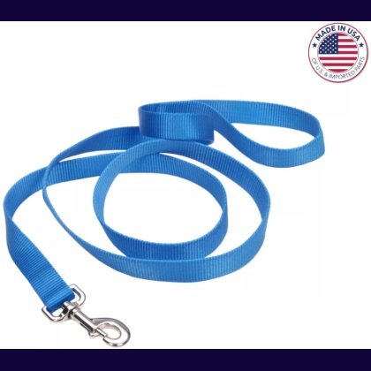 Coastal Pet Single-Ply Nylon Dog Leash Blue Lagoon