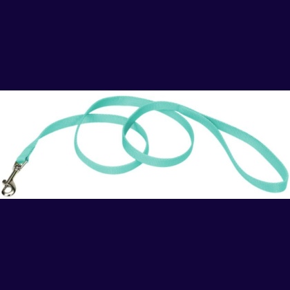 Coastal Pet Single-ply Teal Nylon Dog Lead