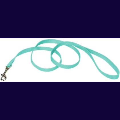 Coastal Pet Single-ply Teal Nylon Dog Lead