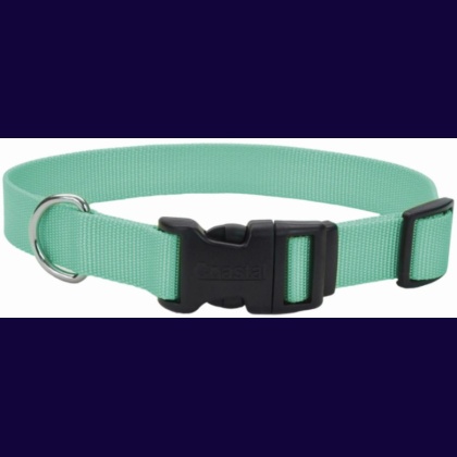 Coastal Pet Teal Nylon Tuff Dog Collar with Plastic Buckle