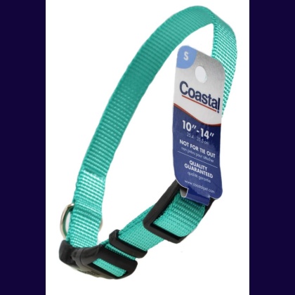 Coastal Pet Teal Nylon Tuff Dog Collar