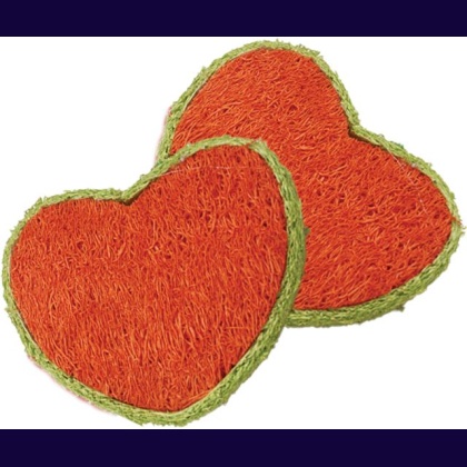 AE Cage Company Nibbles Hearts Loofah Chew Toys