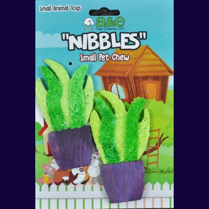 AE Cage Company Nibbles Potted Plants Loofah Chew Toy