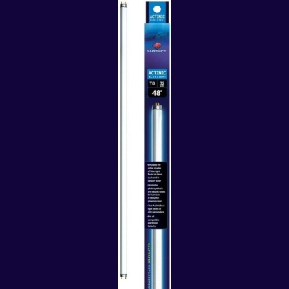 Aqueon Actinic Bluelight T8 Fluorescent Lamp