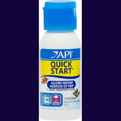 API Quick Start