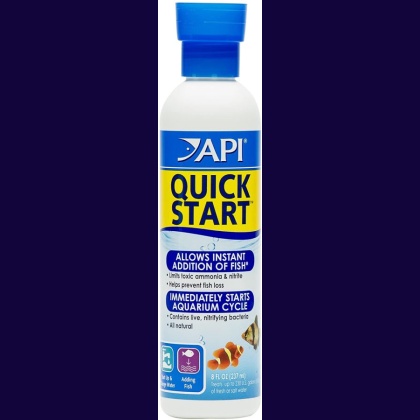 API Quick Start