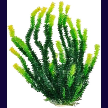 Aquatop Green Aquarium Plant with Light Tips