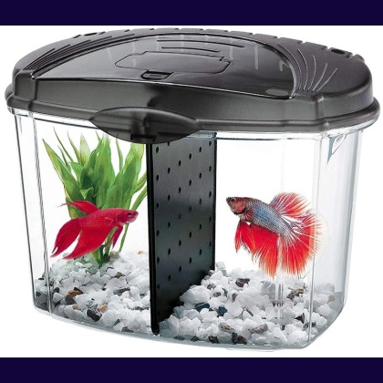 Aqueon Betta Bowl Starter Kit - Black