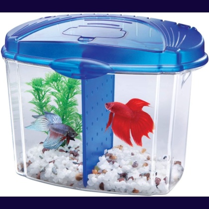 Aqueon Betta Bowl Starter Kit - Blue