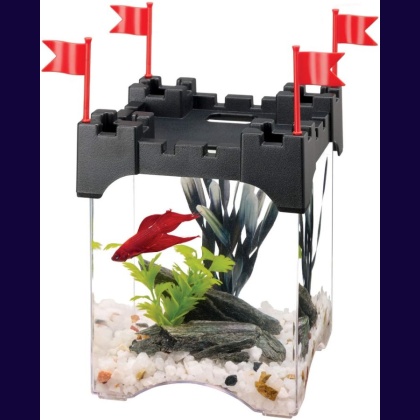 Aqueon Betta Castle Aquarium Kit - Black