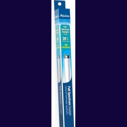 Aqueon T8 Daylight Fluorescent Lamp