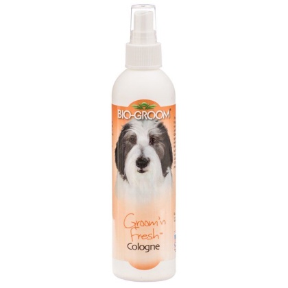 Bio Groom Groom N Fresh Cologne