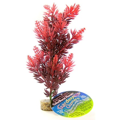 Blue Ribbon Bush Plant with Gravel Base - Red