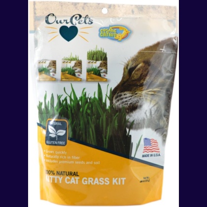 OurPets Cosmic Catnip 100% Natural Kitty Cat Grass Kit