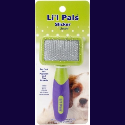 Li\'l Pals Tiny Slicker Brush