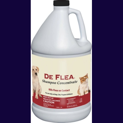 Miracle Care De Flea Shampoo Concentrate