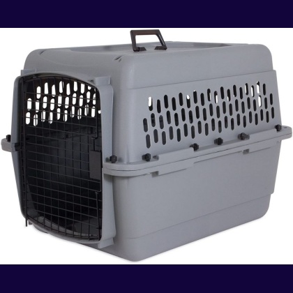 Aspen Pet Traditional Pet Kennel - Gray