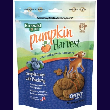 Emerald Pet Pumpkin Harvest Oven Baked Dog Treats with Blueberry