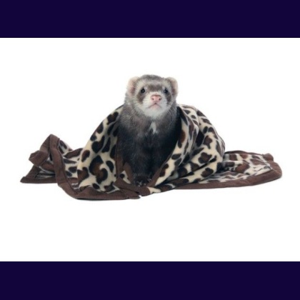 Marshall Designer Fleece Blanket for Small Animals