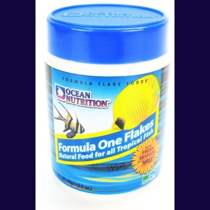 Ocean Nutrition Formula ONE Flakes