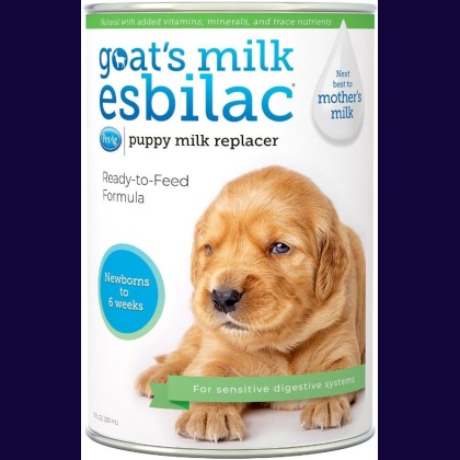 Pet Ag Esbilac Goats Milk Supplement for Puppies