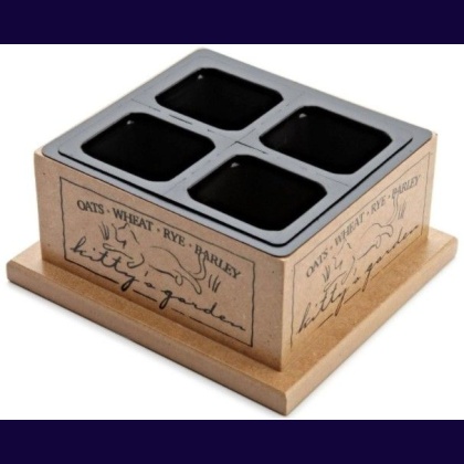 Pioneer Pet Kittys Garden in Wooden Box