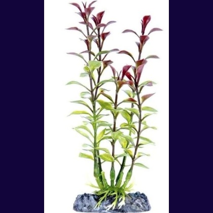 Penn Plax Sinkers Blooming Ludwigia Aquarium Plant Red