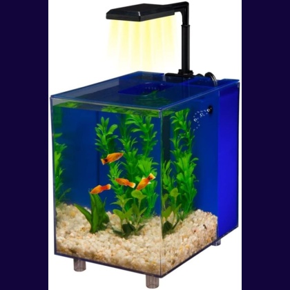 Penn Plax Prism Nano Desktop Aquarium Kit Blue