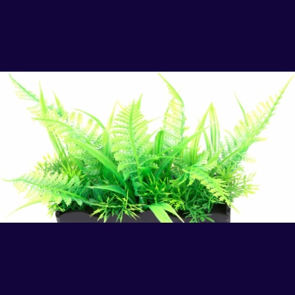 Penn Plax Ostrich Fern Bunch Plant 2\