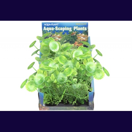 Penn Plax Pennywort Bunch Plant Medium