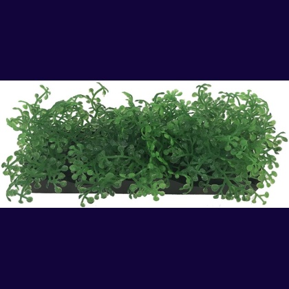 Penn Plax Green Bunch Plants Small