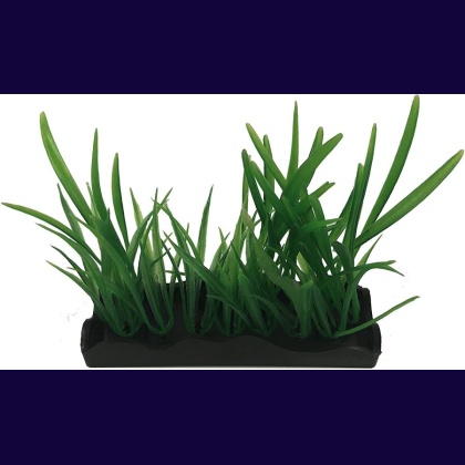 Penn Plax Harigrass Bunch Plant Medium