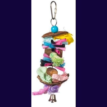 Prevue Tropical Teasers Party Time Bird Toy